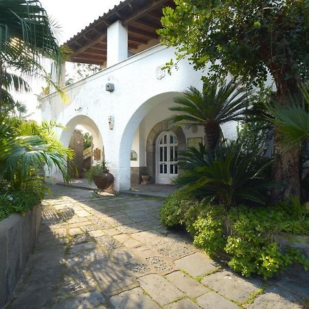 B&B Villa Regine Forio di Ischia エクステリア 写真