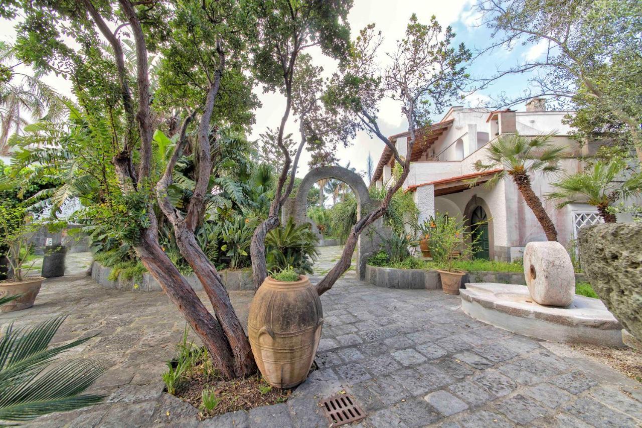 B&B Villa Regine Forio di Ischia エクステリア 写真