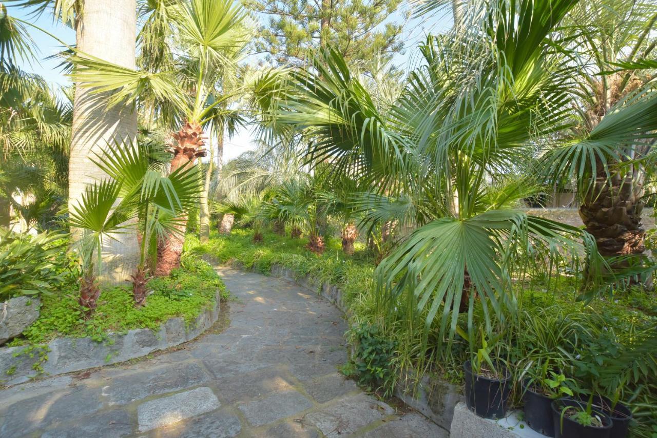 B&B Villa Regine Forio di Ischia エクステリア 写真